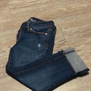 American Eagle Artist Capris